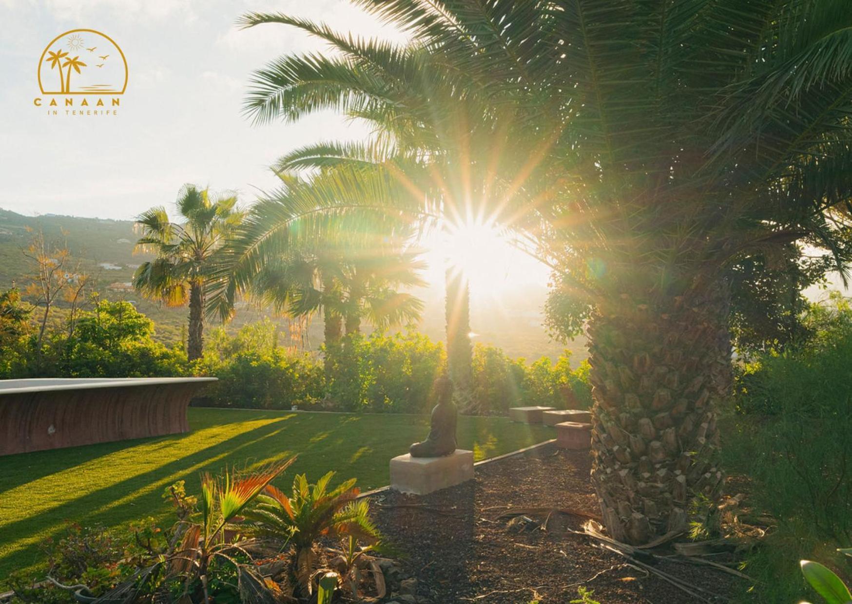 Canaan In Tenerife - Heated Pool, Ocean Views, Palm Garden, Villa Costa Adeje Dış mekan fotoğraf